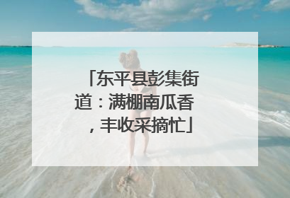 东平县彭集街道：满棚南瓜香，丰收采摘忙