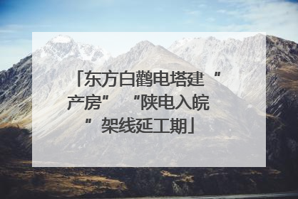东方白鹳电塔建“产房” “陕电入皖”架线延工期