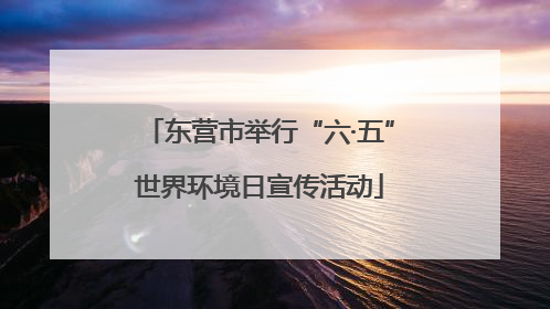 东营市举行“六·五”世界环境日宣传活动