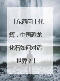 东西问丨代辉：中国恐龙化石如何对话世界？