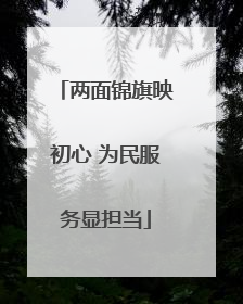 两面锦旗映初心 为民服务显担当