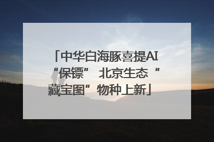 中华白海豚喜提AI“保镖” 北京生态“藏宝图”物种上新