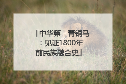 中华第一青铜马：见证1800年前民族融合史