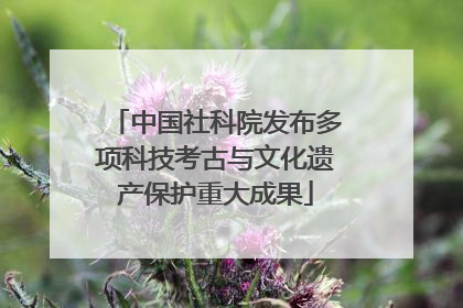 中国社科院发布多项科技考古与文化遗产保护重大成果
