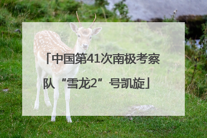 中国第41次南极考察队“雪龙2”号凯旋