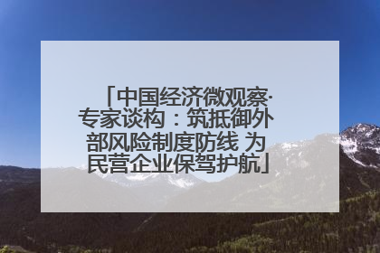中国经济微观察·专家谈构：筑抵御外部风险制度防线 为民营企业保驾护航