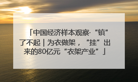 中国经济样本观察·“镇”了不起｜为衣做架，“挂”出来的80亿元“衣架产业”