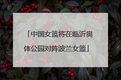 中国女篮将在临沂奥体公园对阵波兰女篮