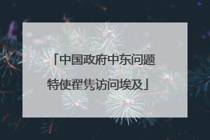 中国政府中东问题特使翟隽访问埃及