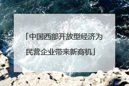 中国西部开放型经济为民营企业带来新商机