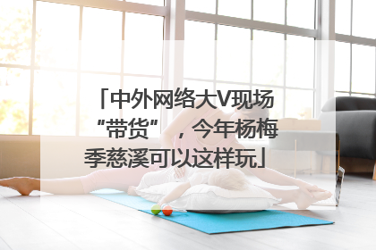 中外网络大V现场“带货”，今年杨梅季慈溪可以这样玩
