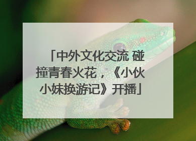 中外文化交流 碰撞青春火花，《小伙小妹换游记》开播
