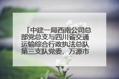 中建一局西南公司总部党总支与四川省交通运输综合行政执法总队第三支队党委、万源市草坝镇莲花院村党支部开展党建联建