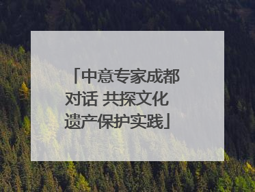 中意专家成都对话 共探文化遗产保护实践
