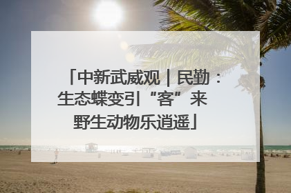 中新武威观｜民勤：生态蝶变引“客”来 野生动物乐逍遥