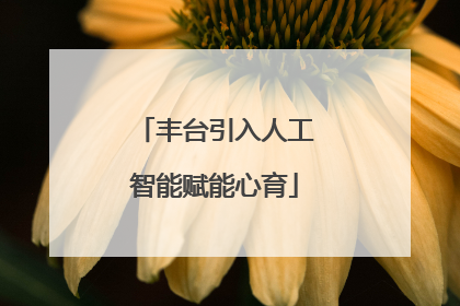 丰台引入人工智能赋能心育