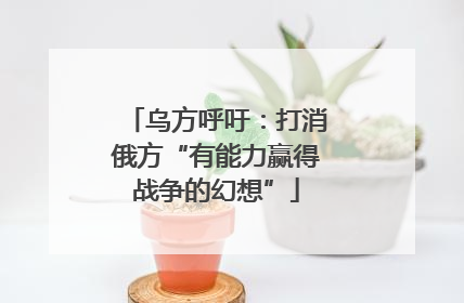 乌方呼吁：打消俄方“有能力赢得战争的幻想”