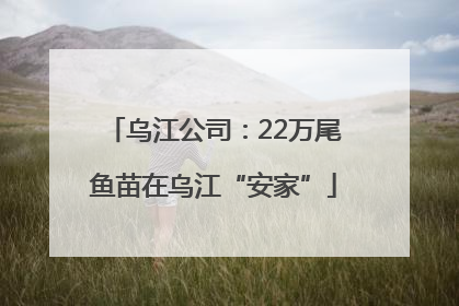 乌江公司：22万尾鱼苗在乌江“安家”