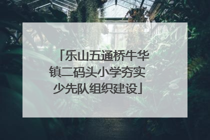 乐山五通桥牛华镇二码头小学夯实少先队组织建设