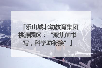乐山城北幼教育集团桃源园区：“聚焦前书写，科学助衔接”
