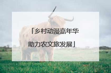 乡村动漫嘉年华助力农文旅发展