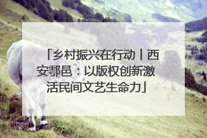 乡村振兴在行动丨西安鄠邑：以版权创新激活民间文艺生命力