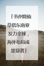 书亦烧仙草借东南亚发力全球，海外布局成果显著