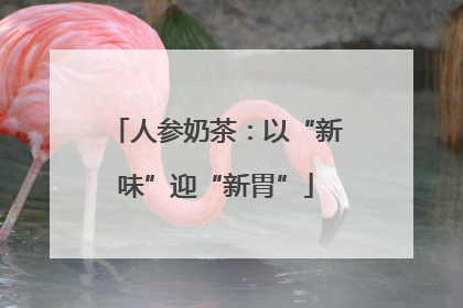 人参奶茶：以“新味”迎“新胃”