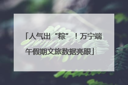 人气出“粽”！万宁端午假期文旅数据亮眼