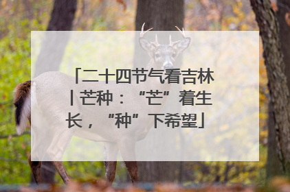 二十四节气看吉林丨芒种：“芒”着生长，“种”下希望