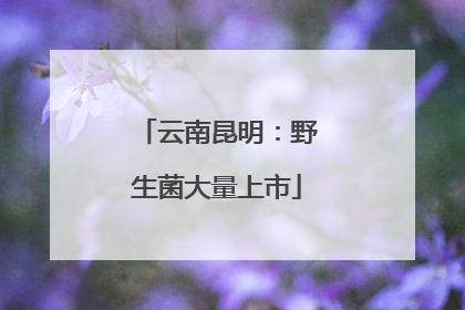 云南昆明：野生菌大量上市