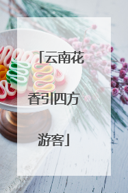 云南花香引四方游客