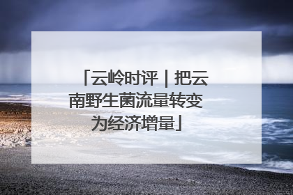 云岭时评｜把云南野生菌流量转变为经济增量