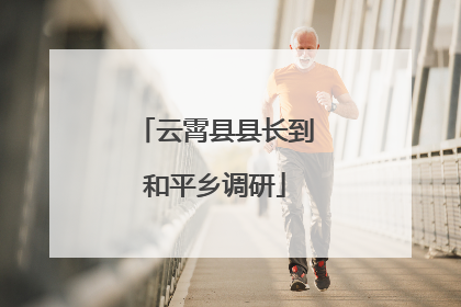 云霄县县长到和平乡调研