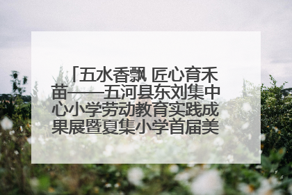 五水香飘 匠心育禾苗——五河县东刘集中心小学劳动教育实践成果展暨夏集小学首届美食节盛大举行