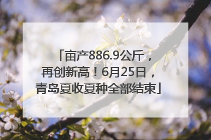 亩产886.9公斤，再创新高！6月25日，青岛夏收夏种全部结束