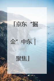 京东“掘金”中东｜聚焦