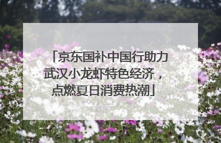京东国补中国行助力武汉小龙虾特色经济，点燃夏日消费热潮