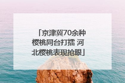 京津冀70余种樱桃同台打擂 河北樱桃表现抢眼