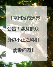 亳州发布巡察公告！涉及群众身边不正之风和腐败问题