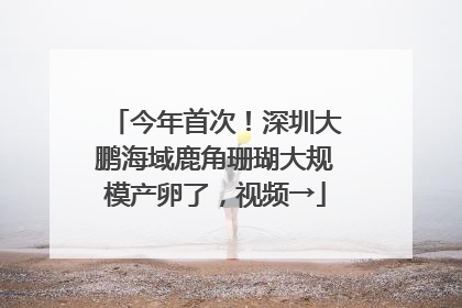 今年首次！深圳大鹏海域鹿角珊瑚大规模产卵了，视频→