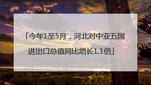 今年1至5月，河北对中亚五国进出口总值同比增长1.1倍