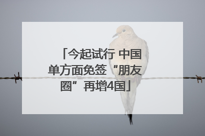 今起试行 中国单方面免签“朋友圈”再增4国