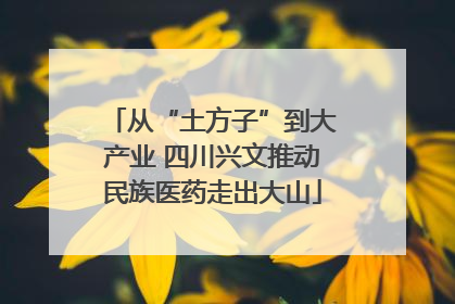 从“土方子”到大产业 四川兴文推动民族医药走出大山