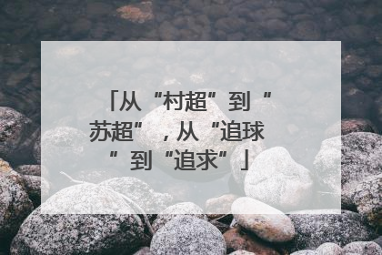 从“村超”到“苏超”，从“追球”到“追求”