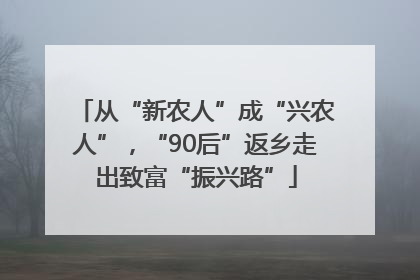 从“新农人”成“兴农人”，“90后”返乡走出致富“振兴路”