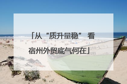从“质升量稳” 看宿州外贸底气何在