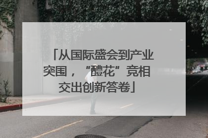 从国际盛会到产业突围，“醴花”竞相交出创新答卷