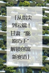 从指尖到云端！甘肃“陇原巧手”解锁创富新赛道
