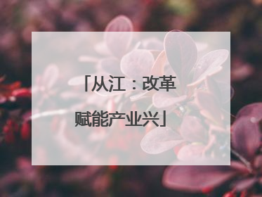 从江：改革赋能产业兴